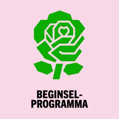 Beeld beginselprogramma