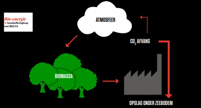 Schema koolfstofkringloop bij biomassaverbranding met afvang en opslag van CO2