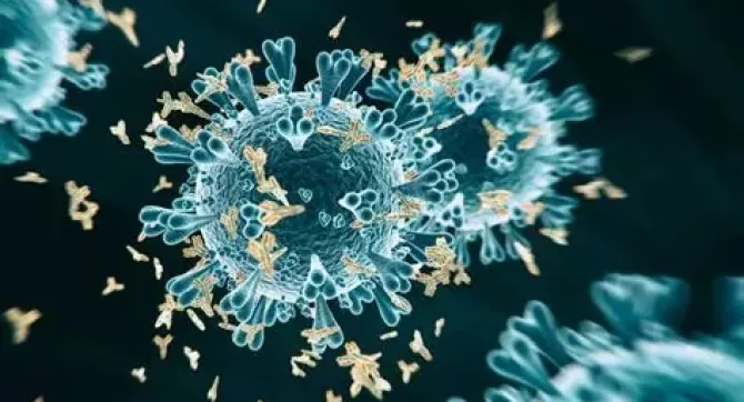 covid-19 virus
