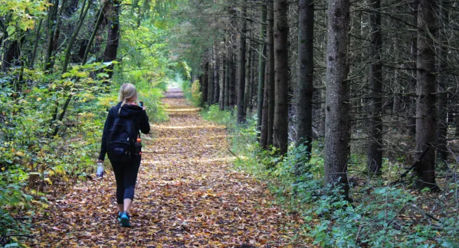 vrouw wandelt in bos