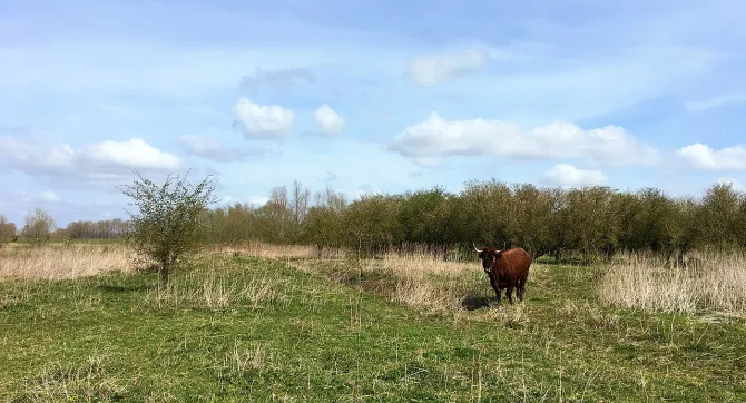 Gelderse Poort
