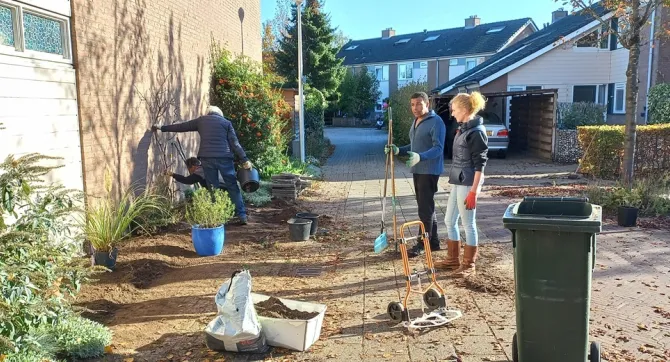 Aanplant van waardplanten in de Zwolse straat Schipbeek.