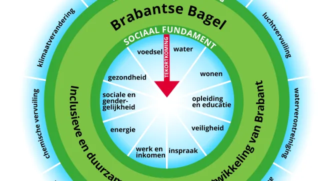 Afbeelding van de ‘Brabantse Bagel’