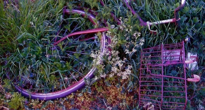 paarse fiets ligt in tuin