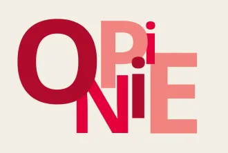 Woordbeeld opinie