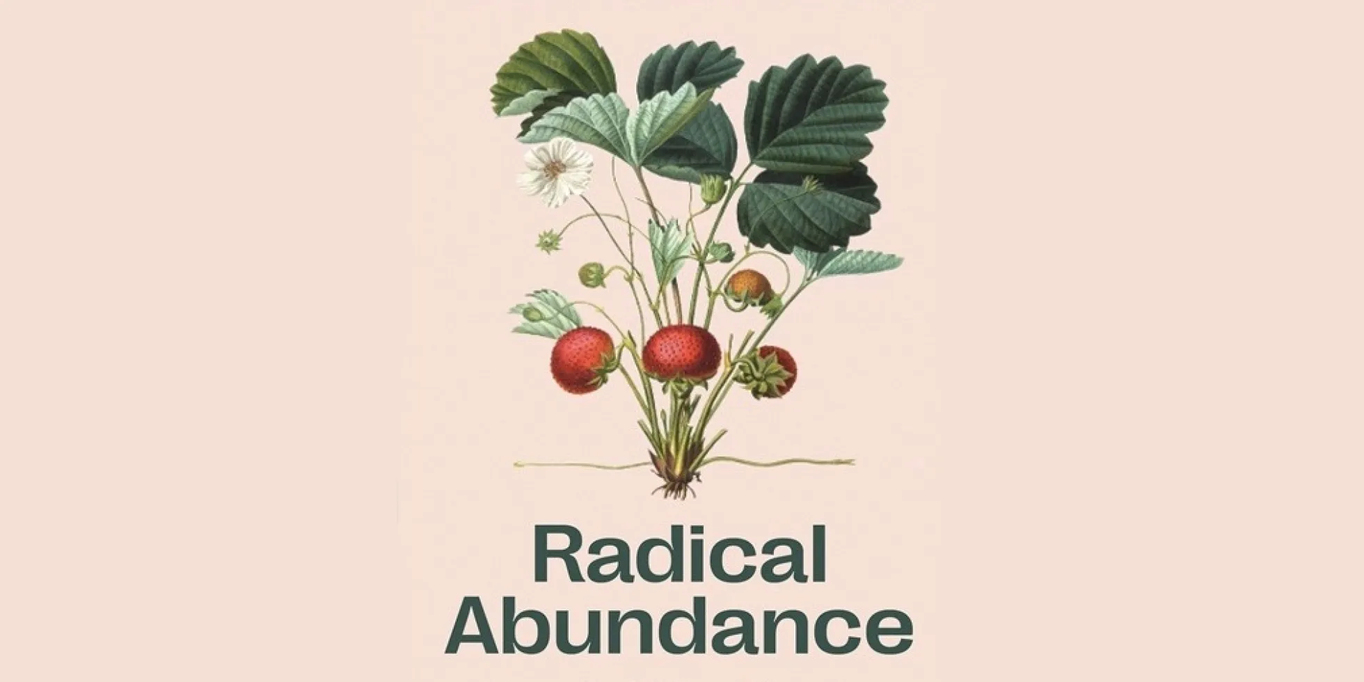 deel van cover van 'Radical Abundance'