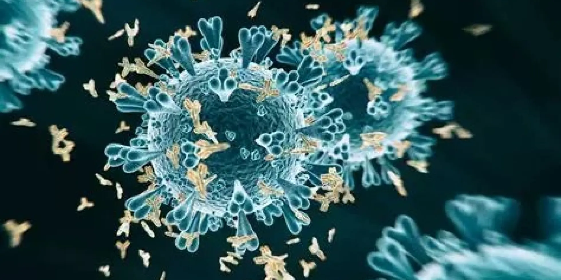 covid-19 virus