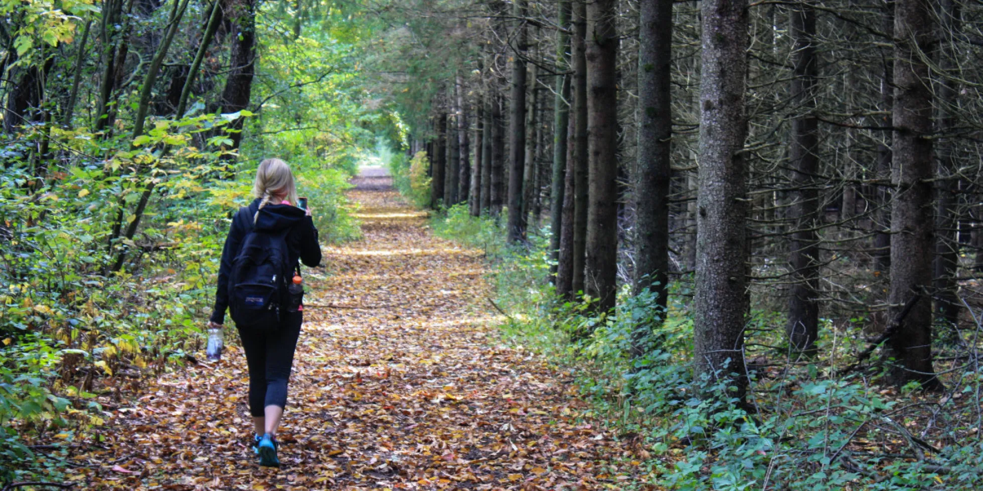 vrouw wandelt in bos