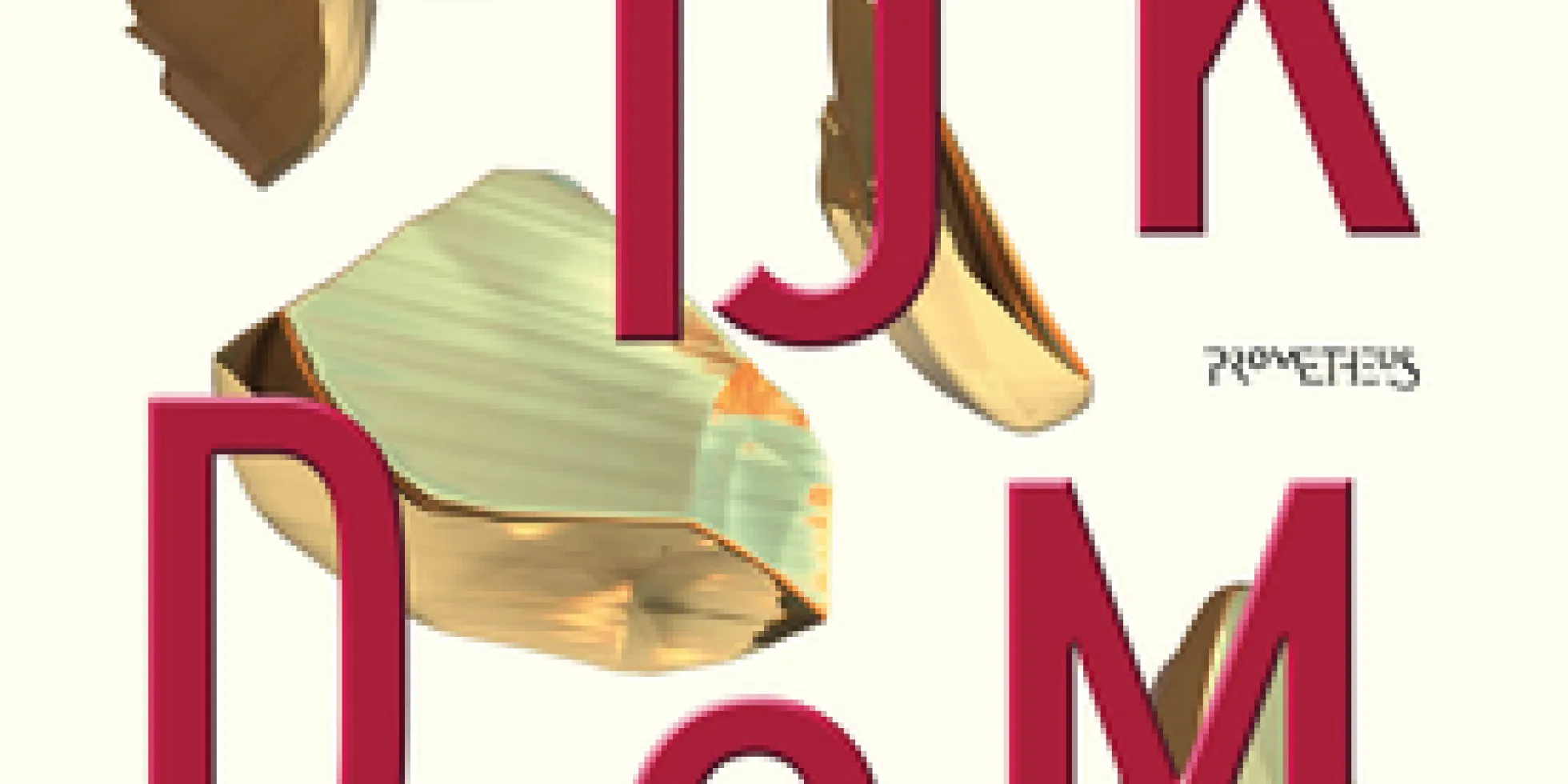 Cover van Ingrid Robeyn’s boek Rijkdom
