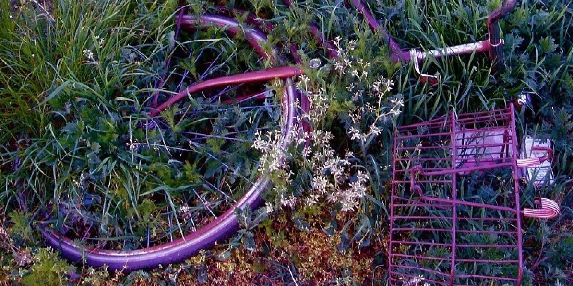 paarse fiets ligt in tuin