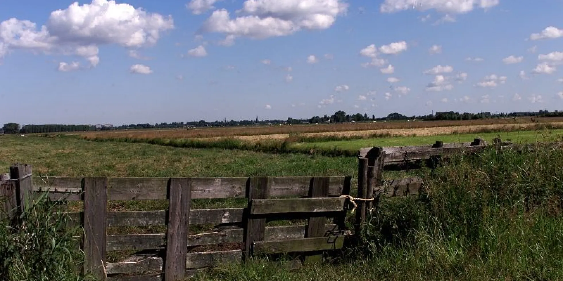 Polder nabij Baambrugge