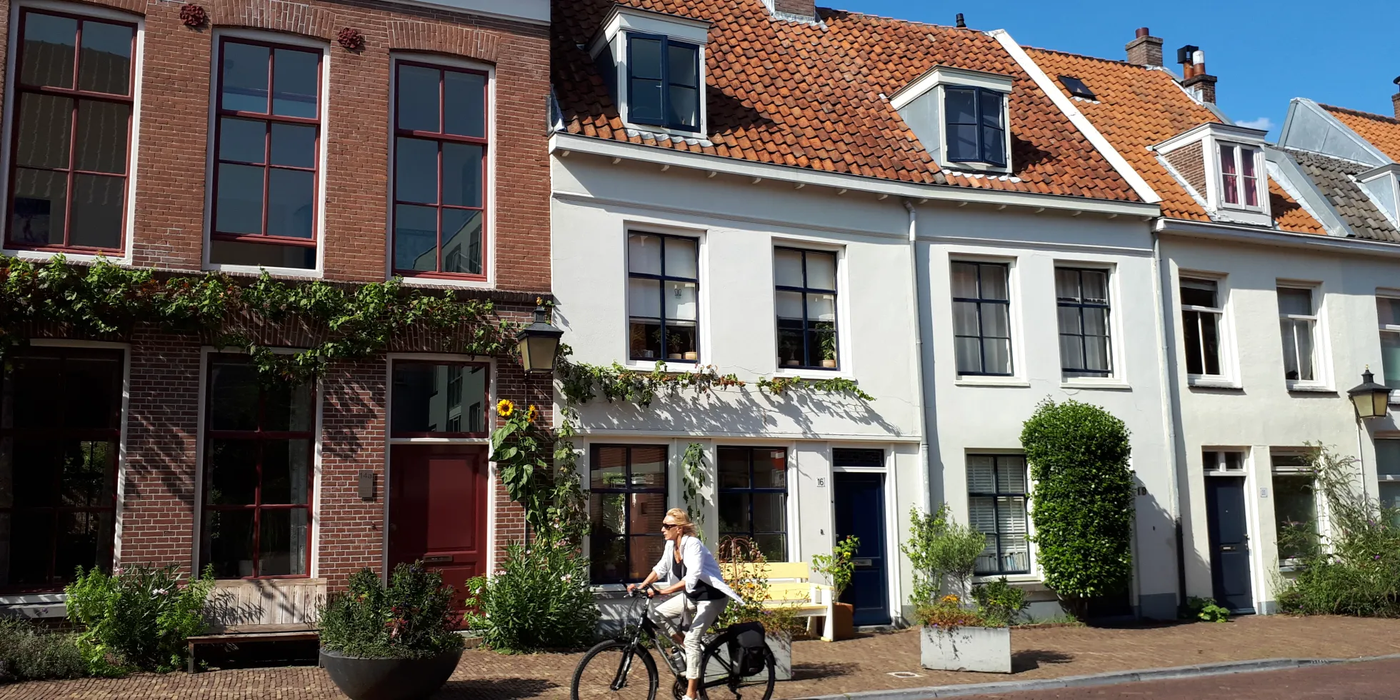 Foto van rij huizen. 